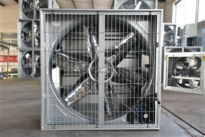 29 '' Fan de Hammer Hammer